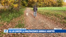A la Une : Le Beaujolais nouveau est arrivé ! / La loi contre la maltraitance animal adoptée par le Parlement / Tournée de frites ce week-end !