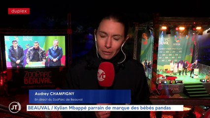 Le Journal - 18/11/2021 - BEAUVAL / Kylian Mbappé parrain de marque des bébé pandas