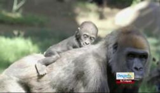 NOTAS INTERESANTES 07-08-14