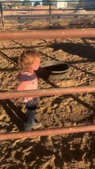 Girl Isn't Happy That Tonto the Unicorn Rolled After His Bath