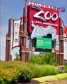 أكبر 5 حدائق حيوان