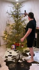 Christmas Tree Needles Fall Off With One Hit