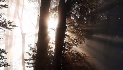 Soft Feeling Jazz & Blues Music No Copy Right