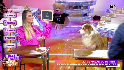 Le concours de math : Rudy le chien contre Magali Berdah !