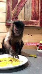 OMG!!! Wait till the end....