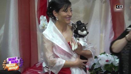 "Les histoires de Woof" : les histoires extraordinaires de 3 chiens !