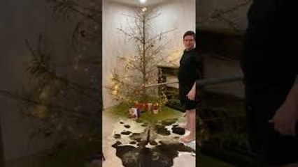 Christmas Tree Needles Fall Off With One Hit