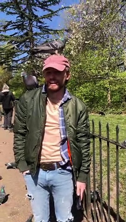 Man Struggles to Get Two Pigeons off of Him at the Park