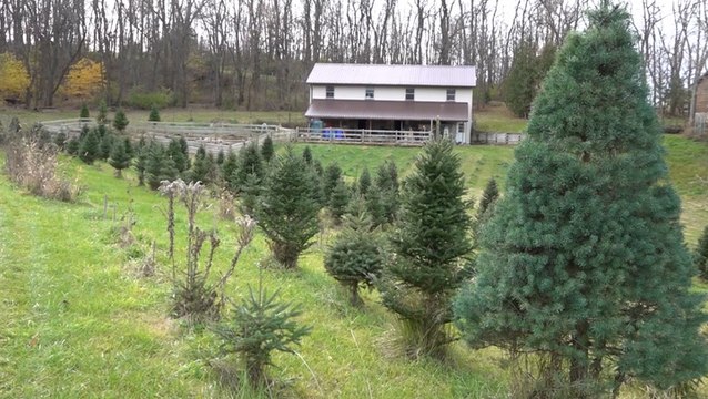 2012 drought affecting 2021's Christmas