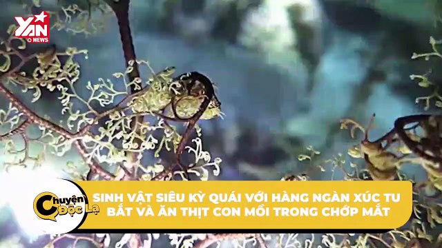 Sinh vật siêu kỳ quái với hàng ngàn xúc tu bắt và ăn thịt con mồi trong chớp mắt | Điện Ảnh Net