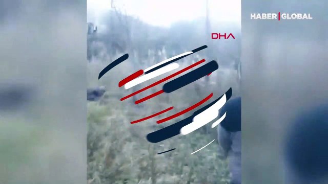 Erzurum'da kış uykusuna yatmayan bozayıyı uyuşturdular