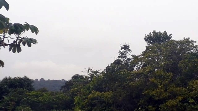 Airbus A321 PT-XPD na aproximação final antes de pousar em Manaus vindo de Brasília