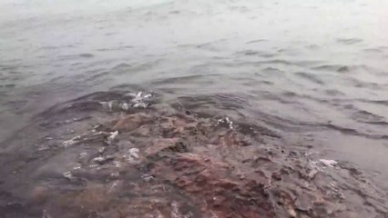 Duluth Minnesota 7