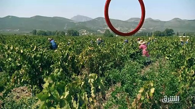 ...نتابع وإياكم هذا النقاش عن الشان التونسي...