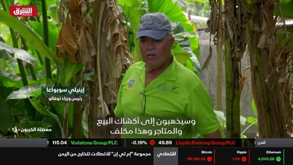 ...ترسانة الخاصة بهم و ينجزون العمل بانفسهم...