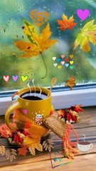 Happy evening n morning