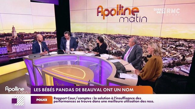 Les histoires de Charles Magnien : Noms des ébbés pandas de Beauval, classement des noms des animaux de compagnie - 19/11