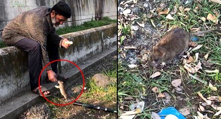 Kimsesiz adam ile farenin dostluğu: Ekmeğini fareyle paylaşıyor