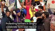 Protesting farmers in Singhu celebrate farm laws repeal