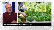 SMART IMPACT - Emission du vendredi 19 novembre