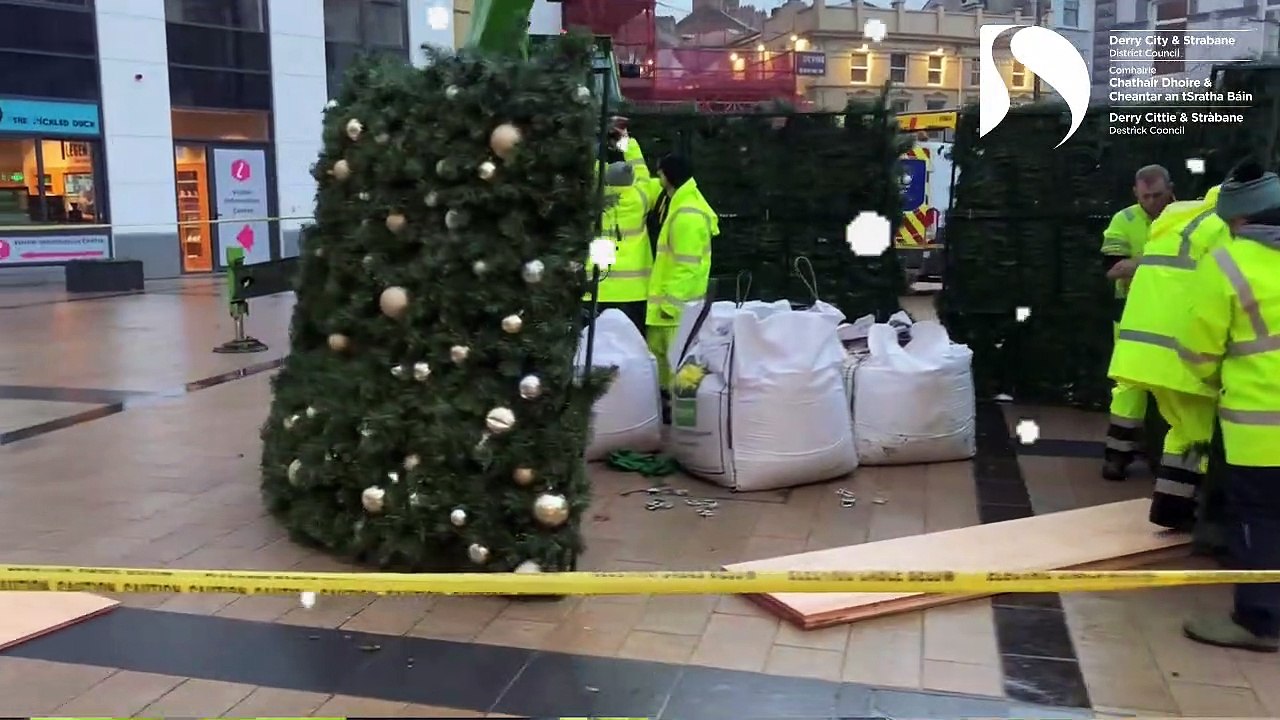 Tallest Christmas tree in Ireland in Derry