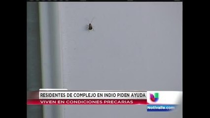 Complejo de viviendas con problemas en Indio