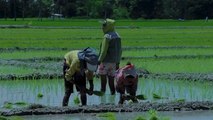 Program Jalan Pertanian Tingkatkan Produktivitas Kelompok Tani Desa Cikolelet