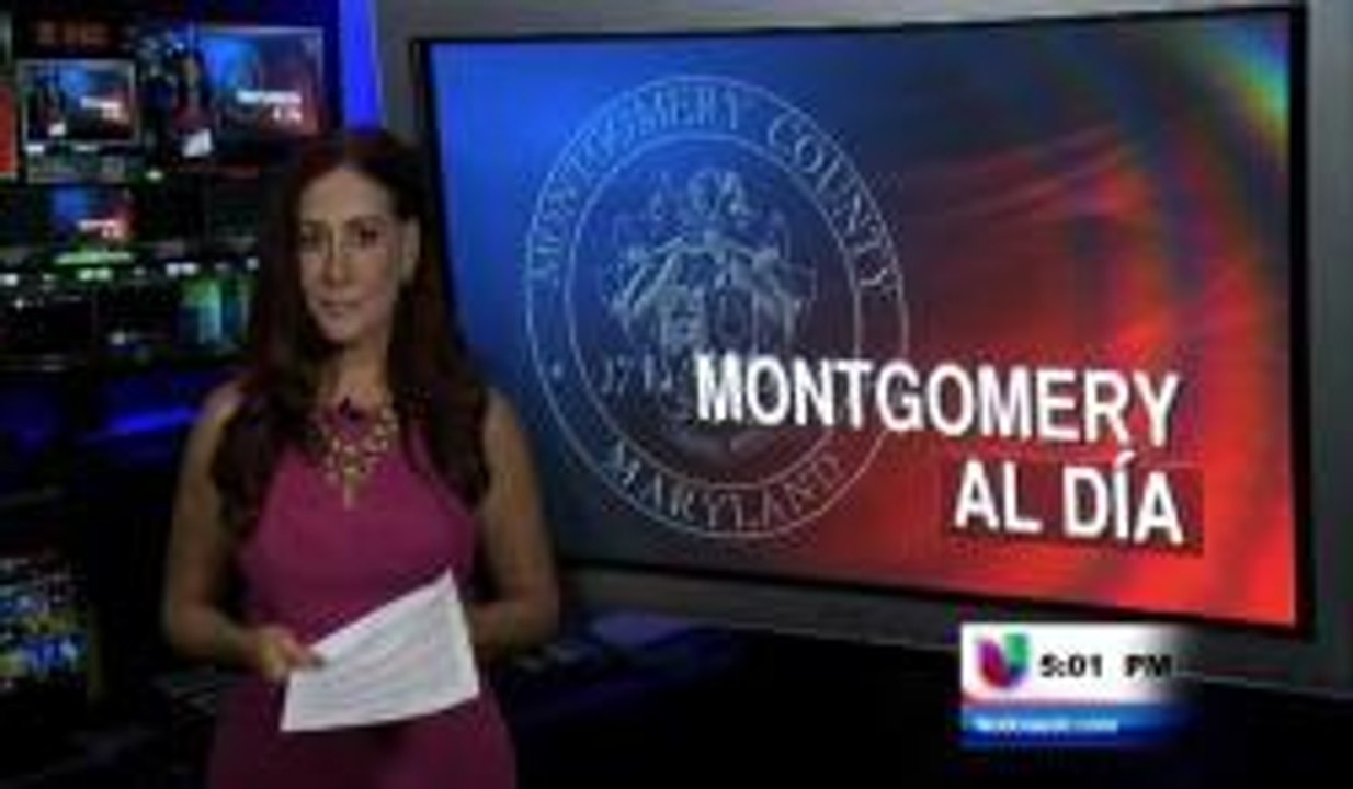 Montgomery al día