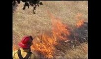 Consecuencias por causar incendios