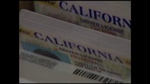 DMV alerta de estafadores por licencias de conducir