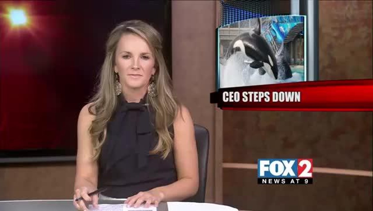 SeaWorld CEO Makes a Splash with Big Announcement