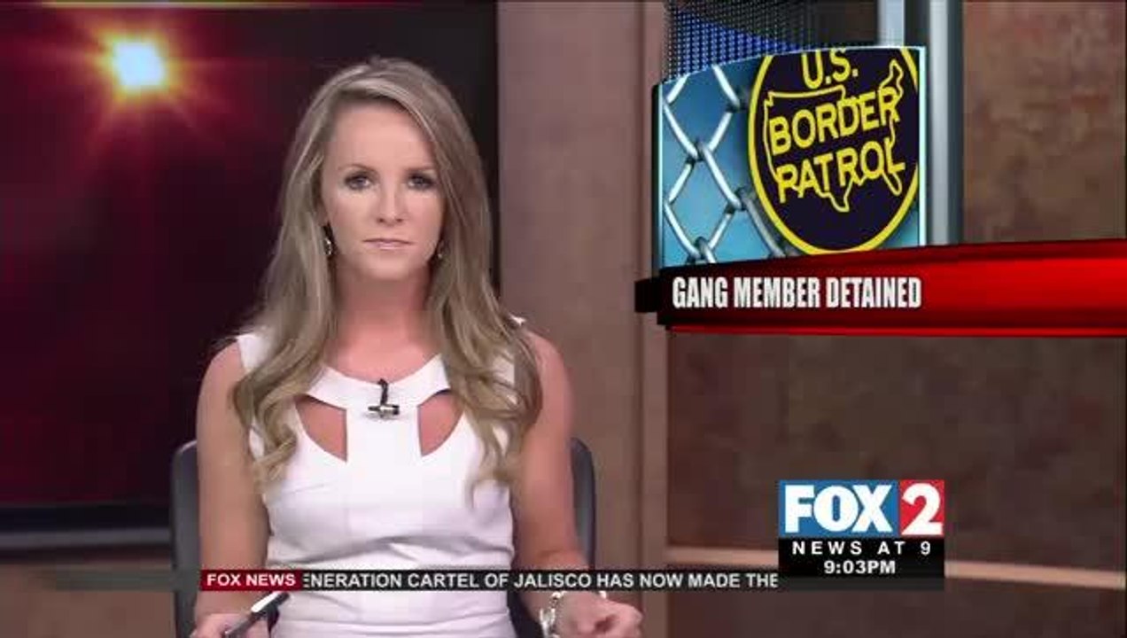 Gang Member, Convicted Sex Offender Caught Illegally Entering U.S.