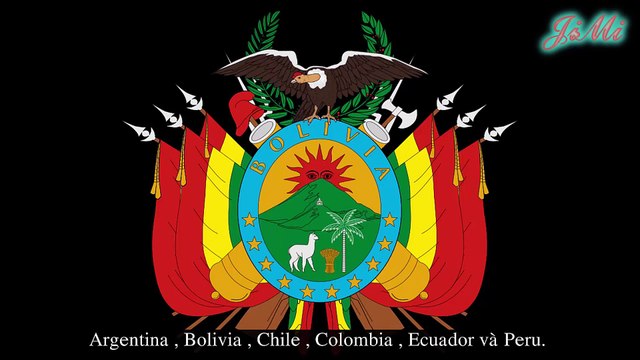 Thân Ưng Andes - Một Trong Những Loài Chim Sống Trên Cạn Lớn Nhất Có Thể Bay