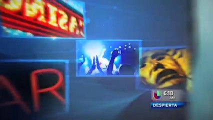 Circus Extreme interview