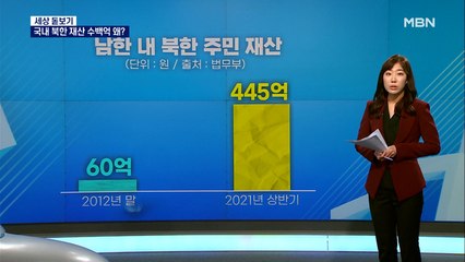 [세상 돋보기] 국내 보관 북한 재산 445억 원…무덤서 유전자 채취?