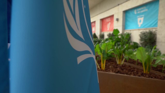 Roma, taglio del nastro per il bio-orto innovativo sul tetto della Fao