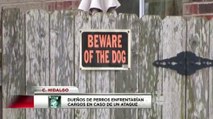 Dueños de perros enfrentarían cargos en casos de ataque