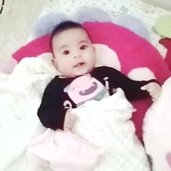 probando desde whatsapp - test Walter!!!