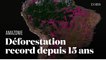 Amazonie : visualisez la déforestation, à son plus haut niveau depuis 15 ans