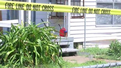 Hombre de 85 Años Se Recupera Tras Ataque de Enjambre de Avispas