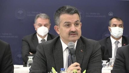 Pakdemirli: "Türkiye'nin gıda stokları yeterli"