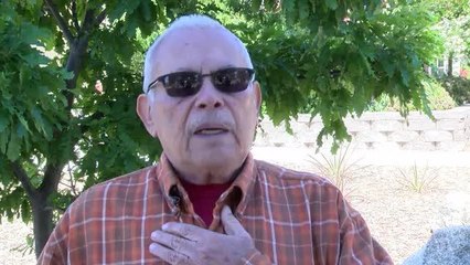 La rapidez del correcaminos