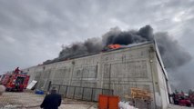 Son dakika gündem: Tekstil fabrikasında çıkan yangına müdahale ediliyor (2)