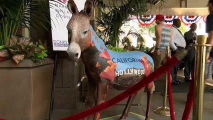 Exhibición de burros en Filadelfia