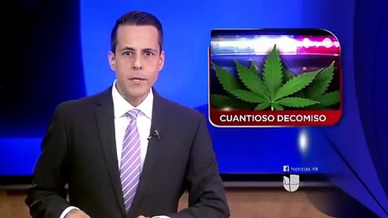 nota 2