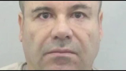 Sí hay espacio para una negociación del gobierno de EEUU con El Chapo.mpg