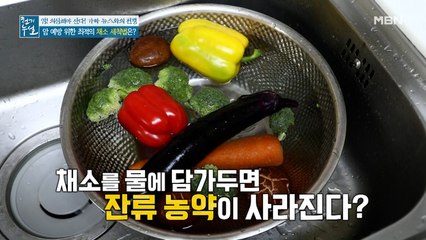 일반 채소, 유기농 못지 않게 먹는 법! 최적의 채소 세척법은?