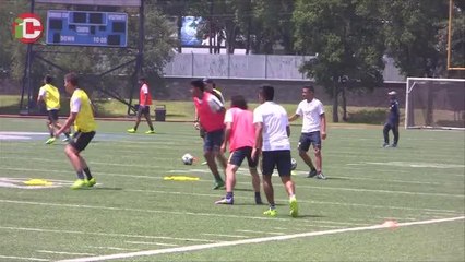 Pumas necesita repuntar ya