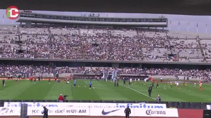 Así son los Pumas de Palencia