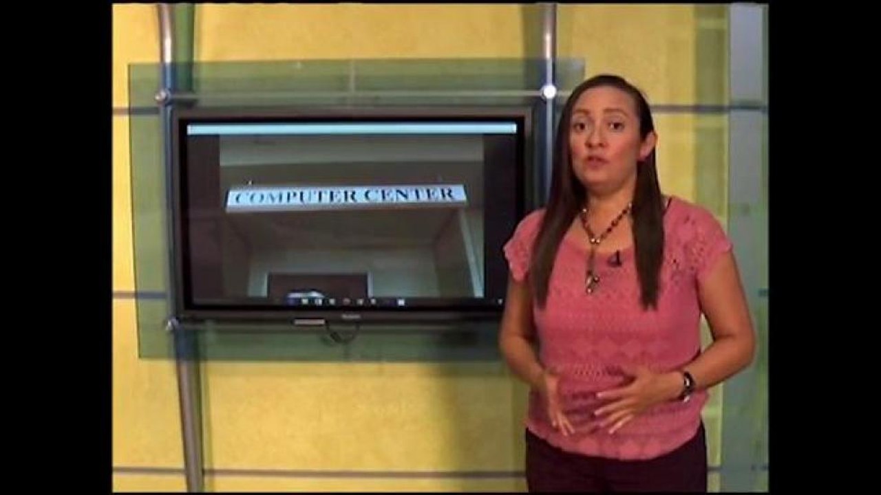 VIDEO: Chinches en la biblioteca de la ciudad de Santa María